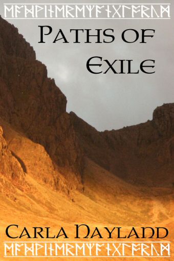 Cover image, Paths of Exile